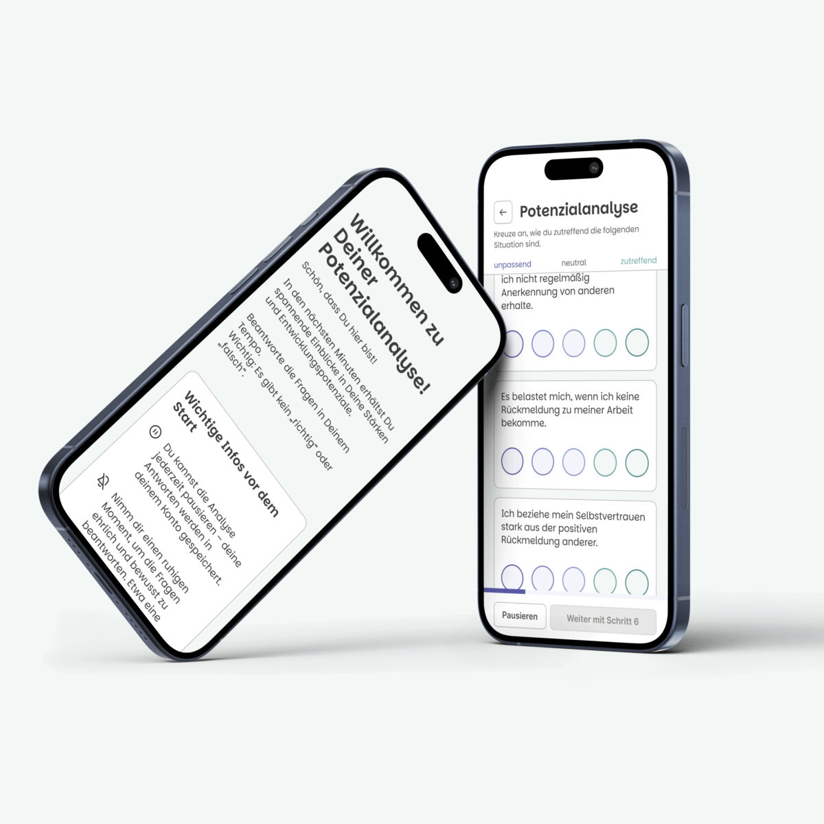 Komplett-Paket: Alle Analysen – Bild 3